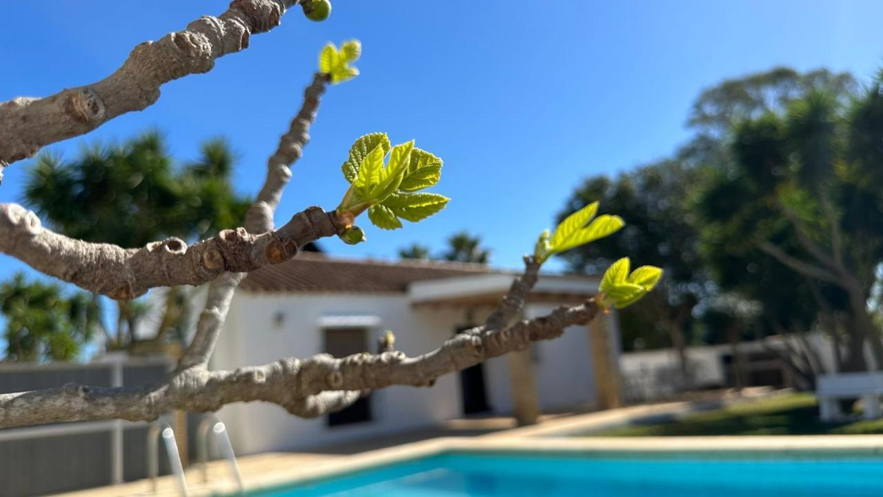 Vivienda Rural Atlantico Sur & Familias Guest House Conil De La Frontera Luaran gambar